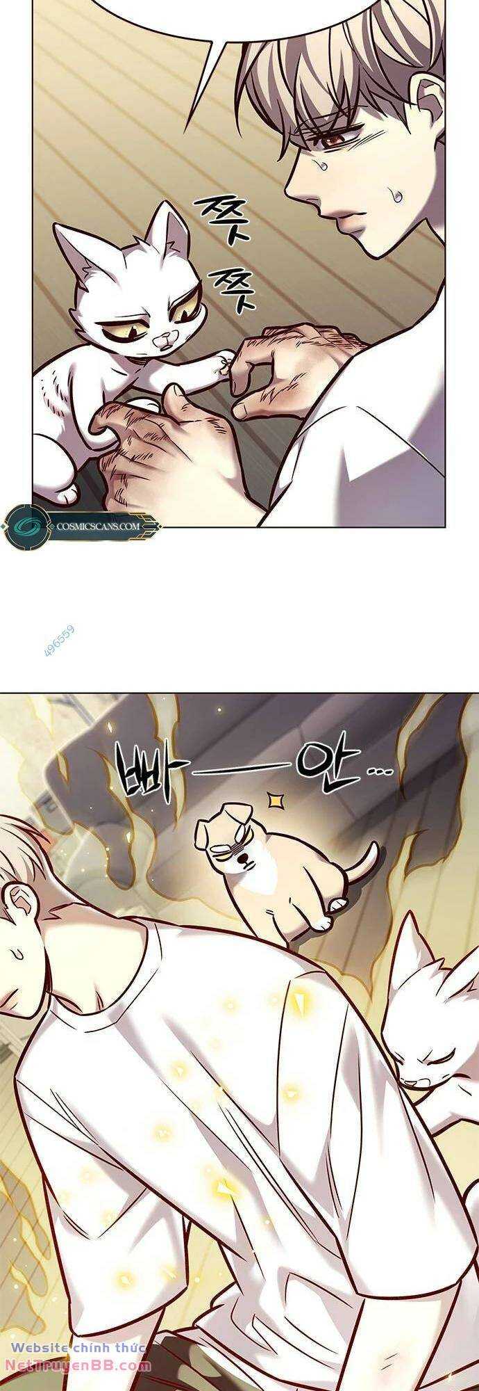 Hoá Thân Thành Mèo Chap 284 - Next Chap 285