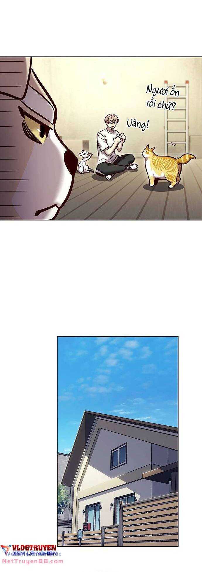 Hoá Thân Thành Mèo Chap 284 - Next Chap 285