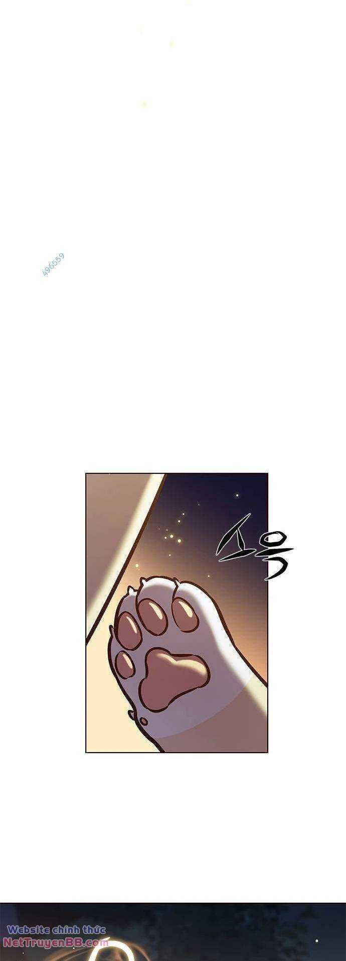 Hoá Thân Thành Mèo Chap 284 - Next Chap 285