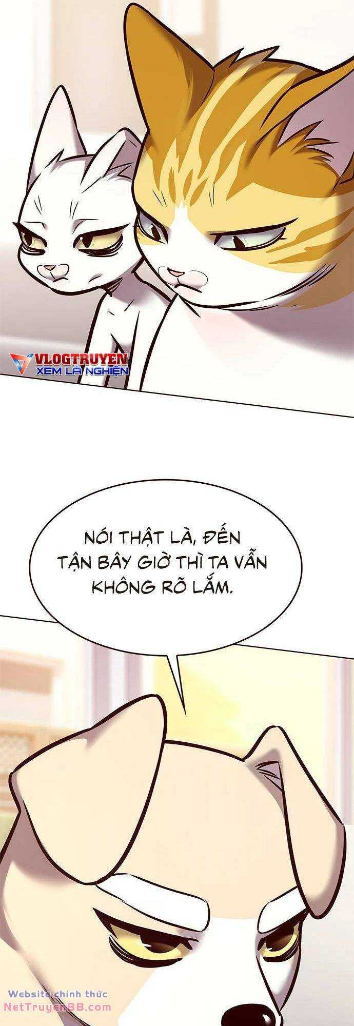 Hoá Thân Thành Mèo Chap 285 - Next Chap 286