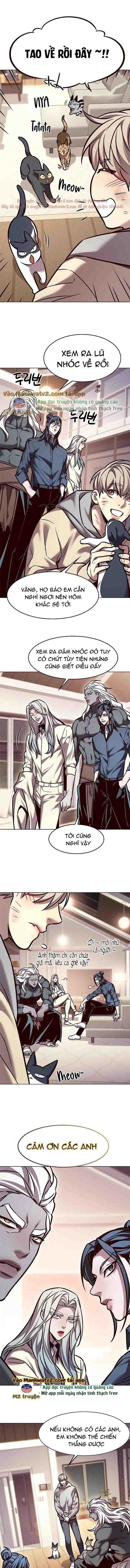 Hoá Thân Thành Mèo Chap 289 - Next Chap 290
