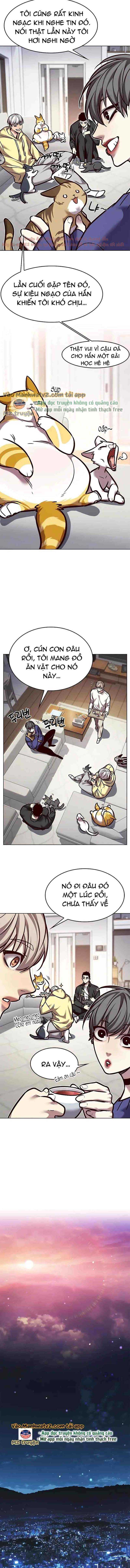 Hoá Thân Thành Mèo Chap 290 - Next Chap 291