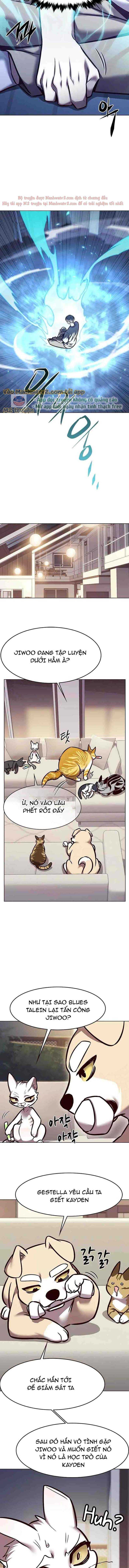 Hoá Thân Thành Mèo Chap 294 - Next Chap 295