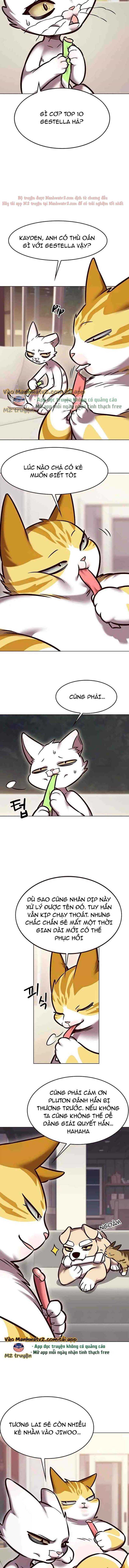 Hoá Thân Thành Mèo Chap 294 - Next Chap 295