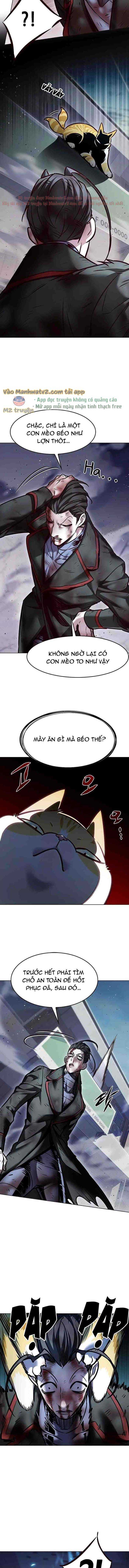Hoá Thân Thành Mèo Chap 294 - Next Chap 295
