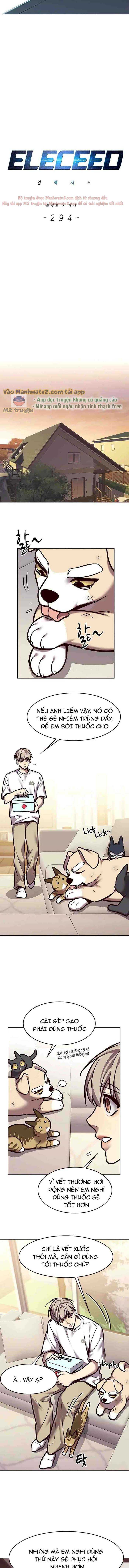 Hoá Thân Thành Mèo Chap 294 - Next Chap 295