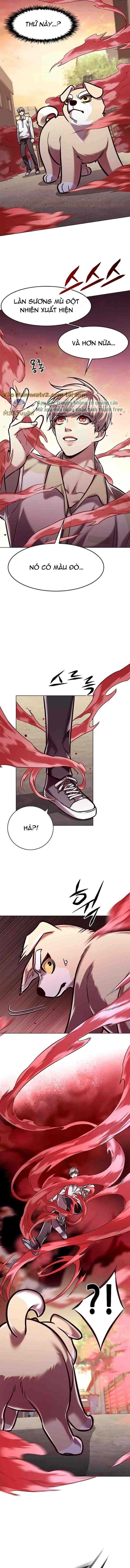 Hoá Thân Thành Mèo Chap 295 - Next Chap 296