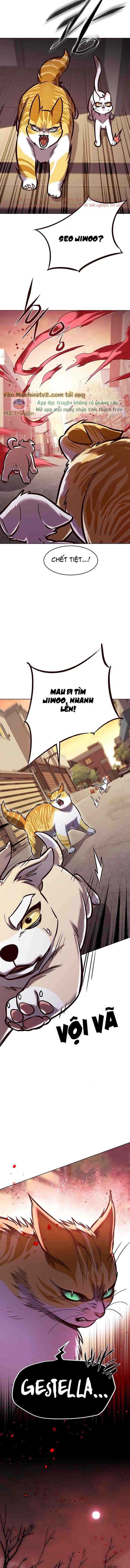 Hoá Thân Thành Mèo Chap 295 - Next Chap 296