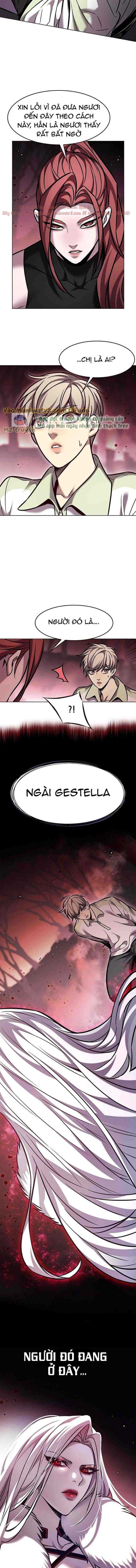 Hoá Thân Thành Mèo Chap 295 - Next Chap 296