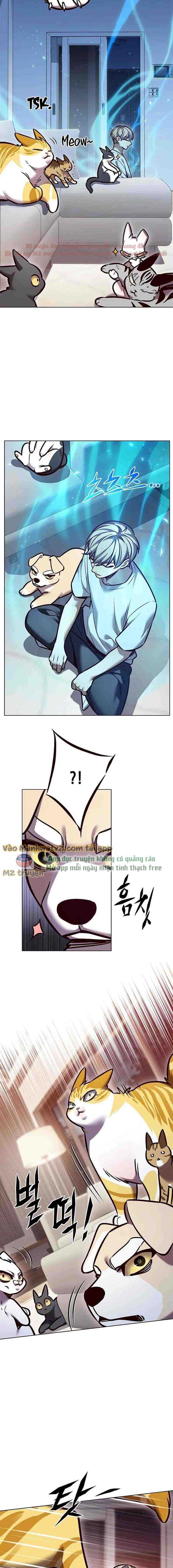 Hoá Thân Thành Mèo Chap 299 - Next Chap 300