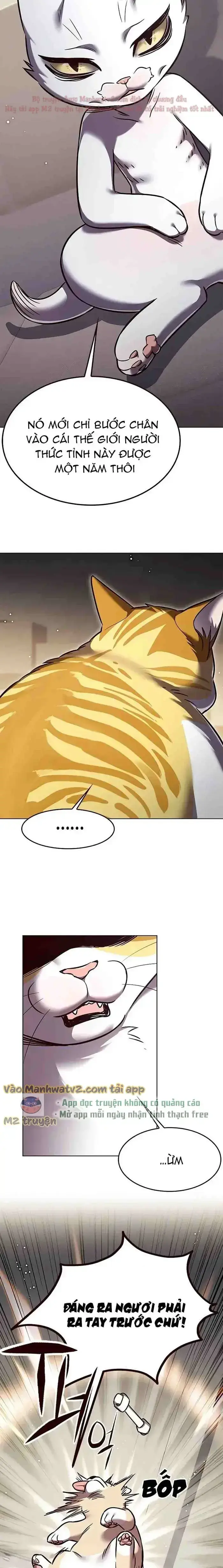 Hoá Thân Thành Mèo Chap 304 - Next Chap 305