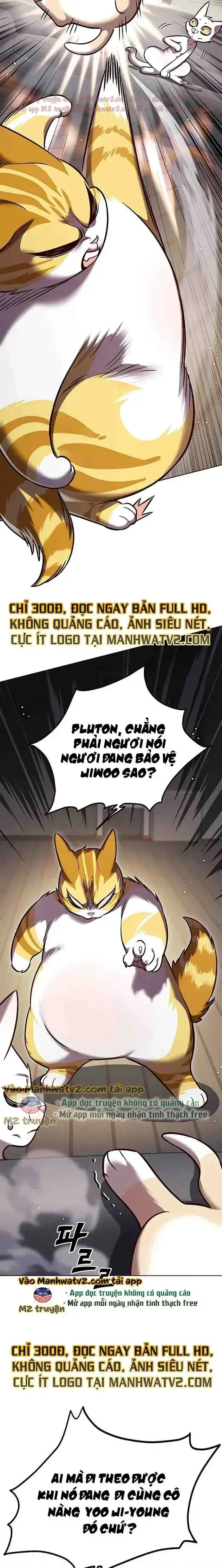 Hoá Thân Thành Mèo Chap 304 - Next Chap 305