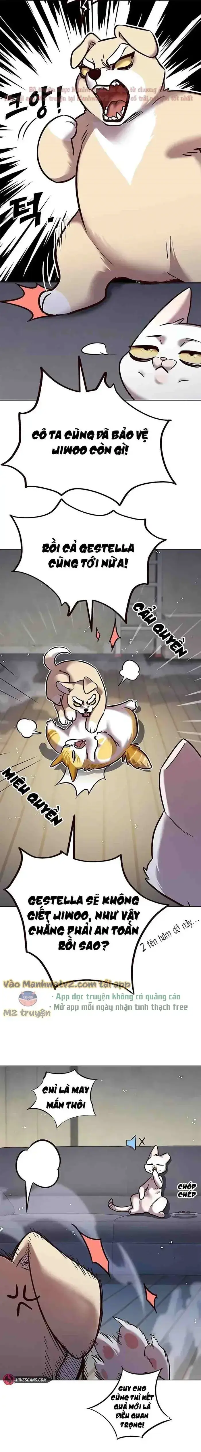 Hoá Thân Thành Mèo Chap 304 - Next Chap 305