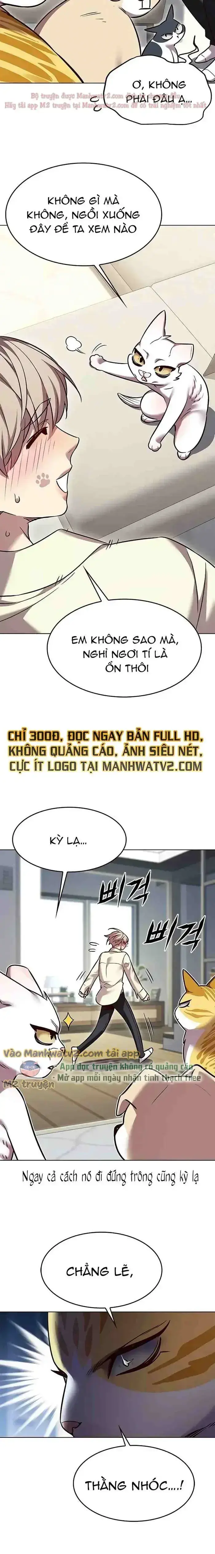 Hoá Thân Thành Mèo Chap 304 - Next Chap 305