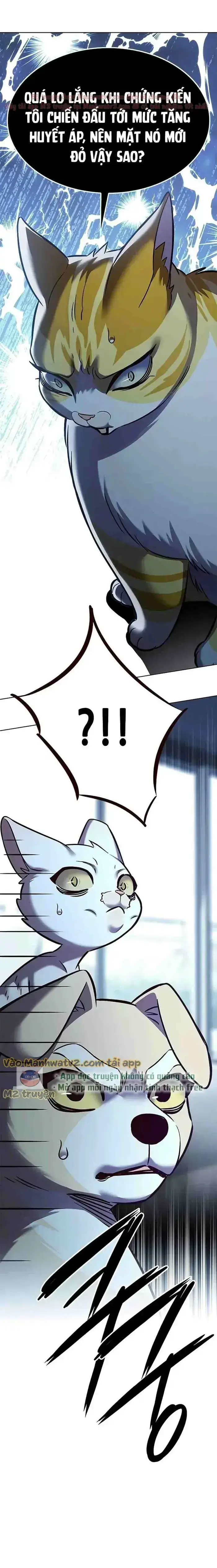 Hoá Thân Thành Mèo Chap 304 - Next Chap 305