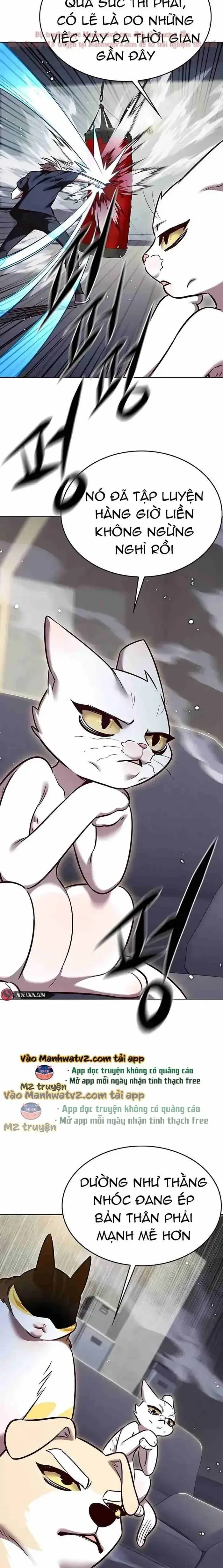 Hoá Thân Thành Mèo Chap 305 - Next Chap 306