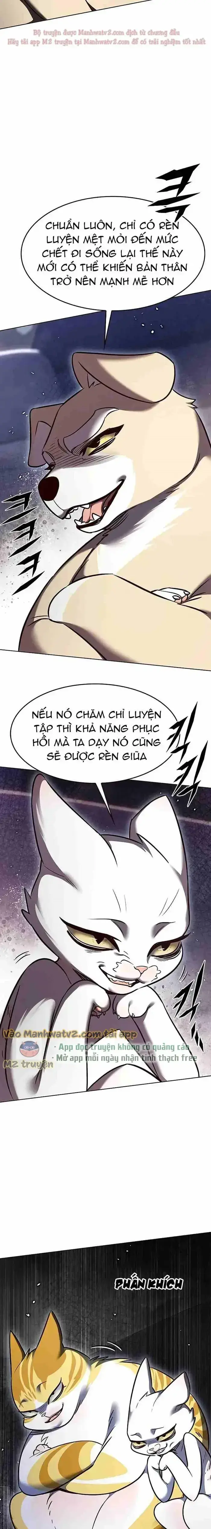 Hoá Thân Thành Mèo Chap 305 - Next Chap 306