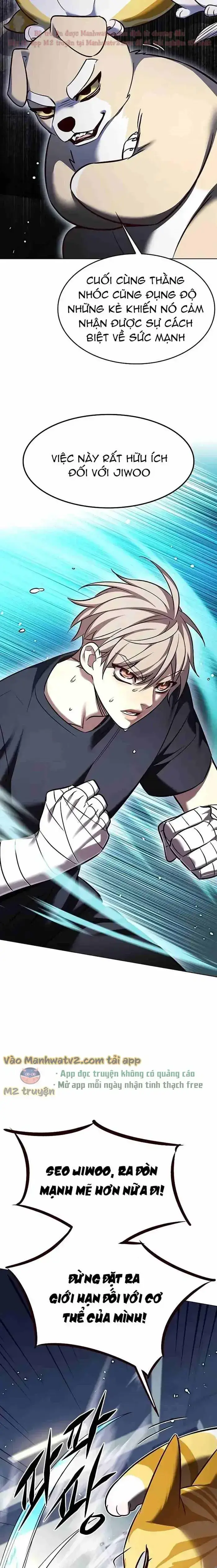 Hoá Thân Thành Mèo Chap 305 - Next Chap 306