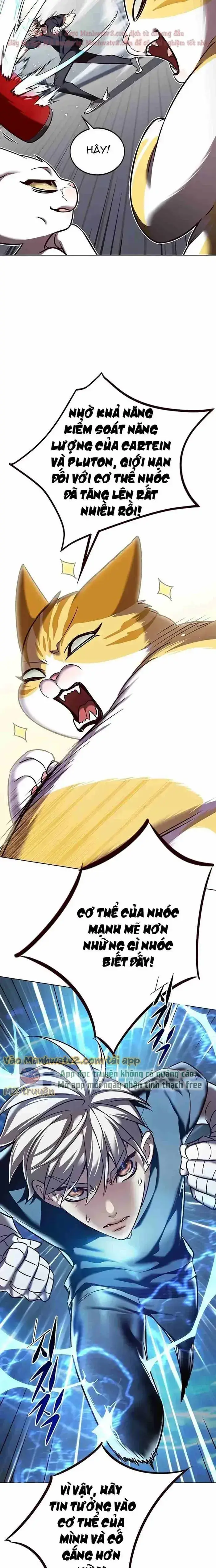 Hoá Thân Thành Mèo Chap 305 - Next Chap 306
