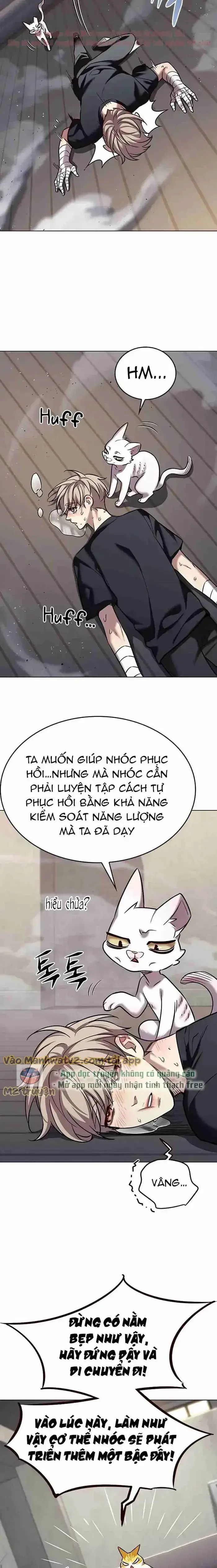 Hoá Thân Thành Mèo Chap 305 - Next Chap 306