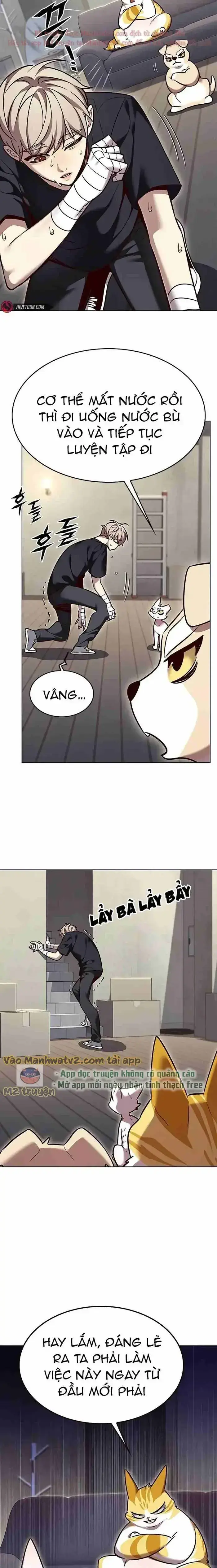 Hoá Thân Thành Mèo Chap 305 - Next Chap 306