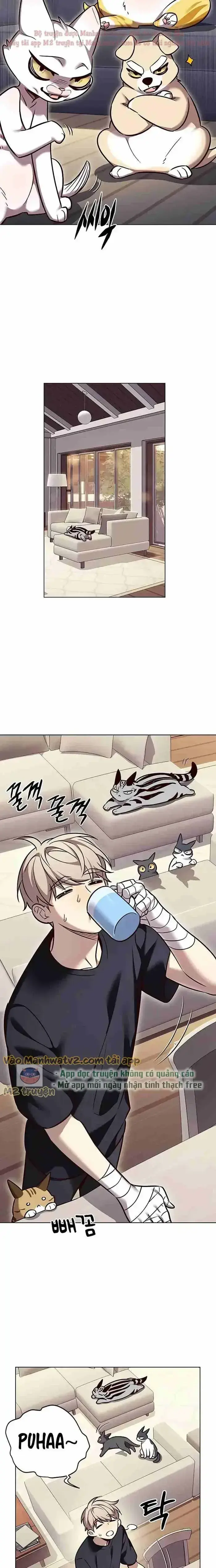 Hoá Thân Thành Mèo Chap 305 - Next Chap 306