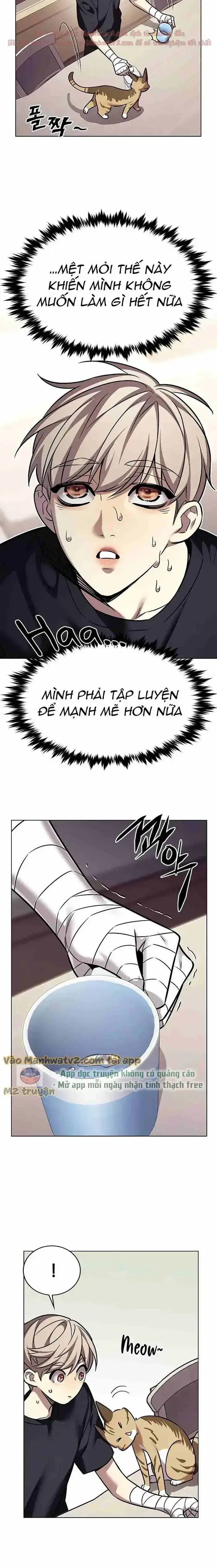 Hoá Thân Thành Mèo Chap 305 - Next Chap 306