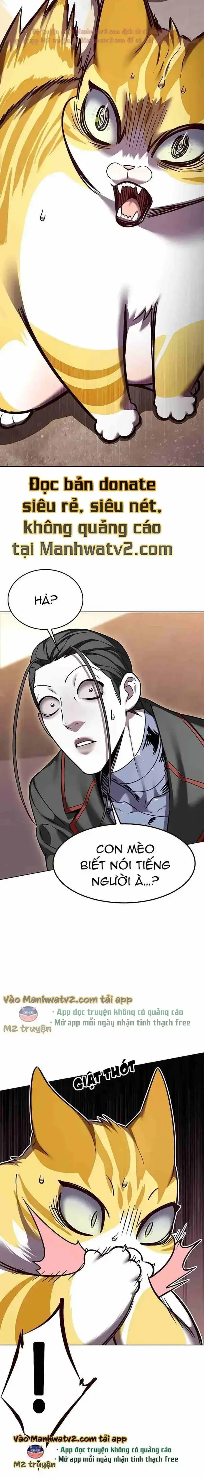 Hoá Thân Thành Mèo Chap 305 - Next Chap 306