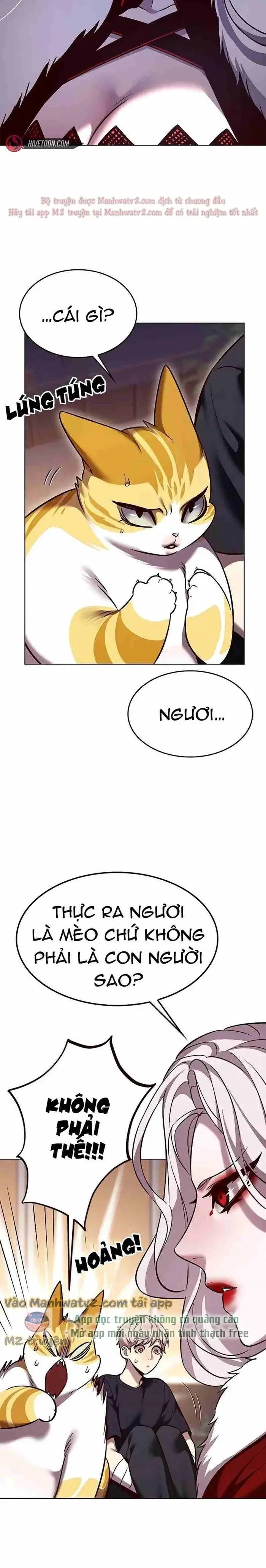 Hoá Thân Thành Mèo Chap 306 - Next Chap 307