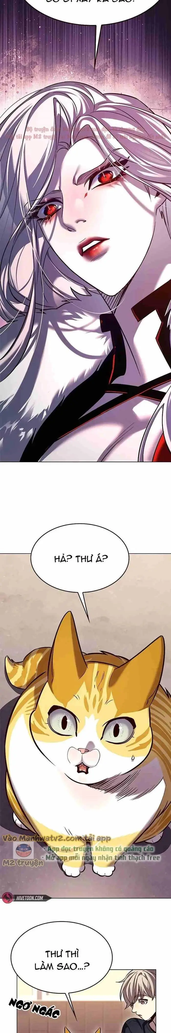 Hoá Thân Thành Mèo Chap 306 - Next Chap 307