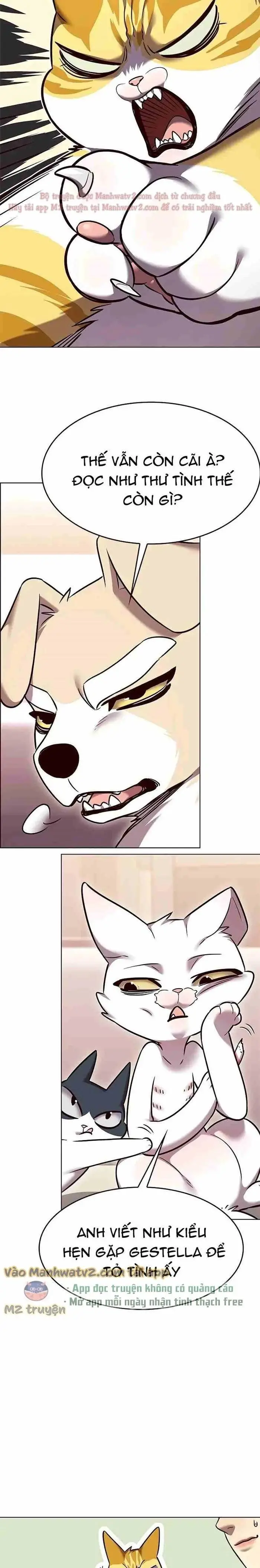 Hoá Thân Thành Mèo Chap 306 - Next Chap 307