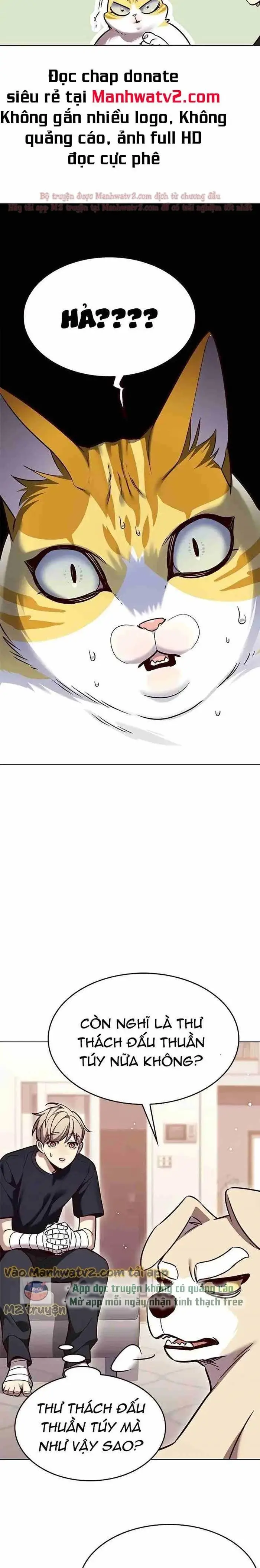Hoá Thân Thành Mèo Chap 306 - Next Chap 307