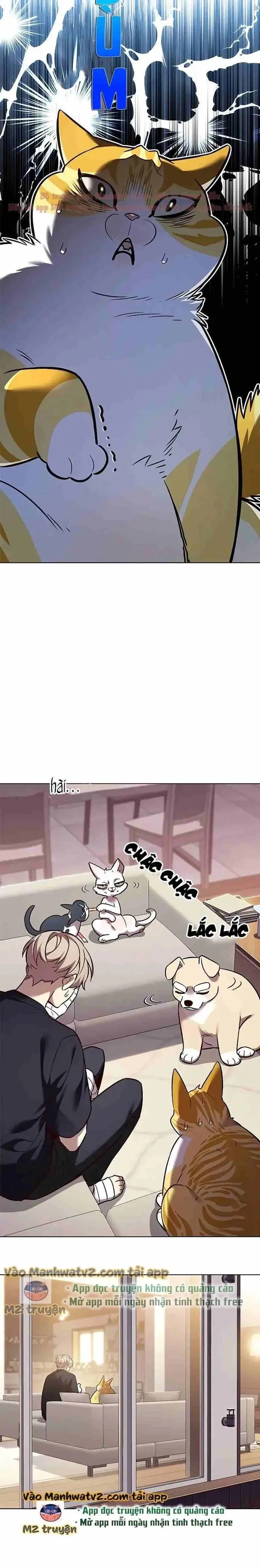 Hoá Thân Thành Mèo Chap 306 - Next Chap 307