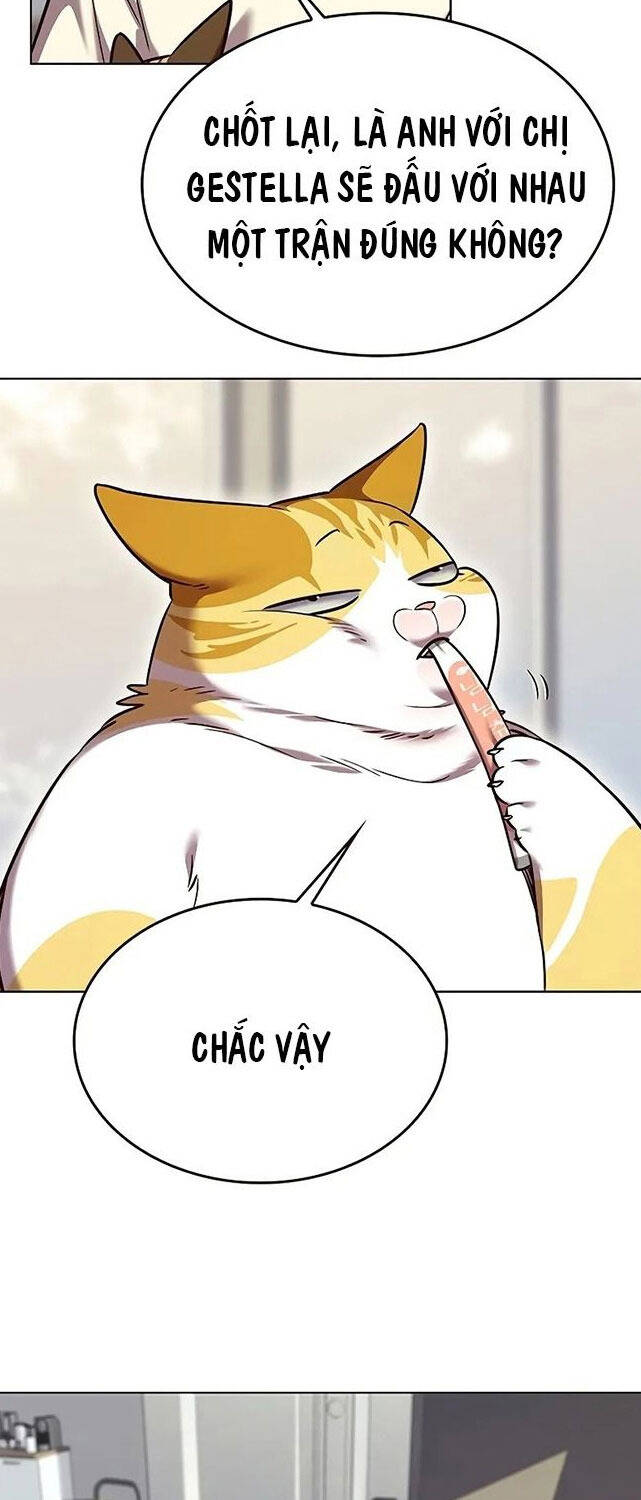 Hoá Thân Thành Mèo Chap 307 - Next Chap 308