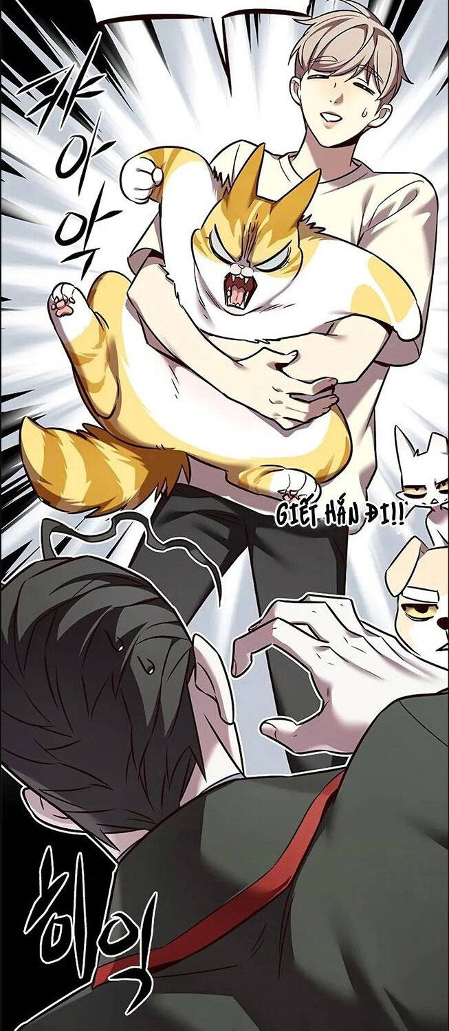 Hoá Thân Thành Mèo Chap 307 - Next Chap 308