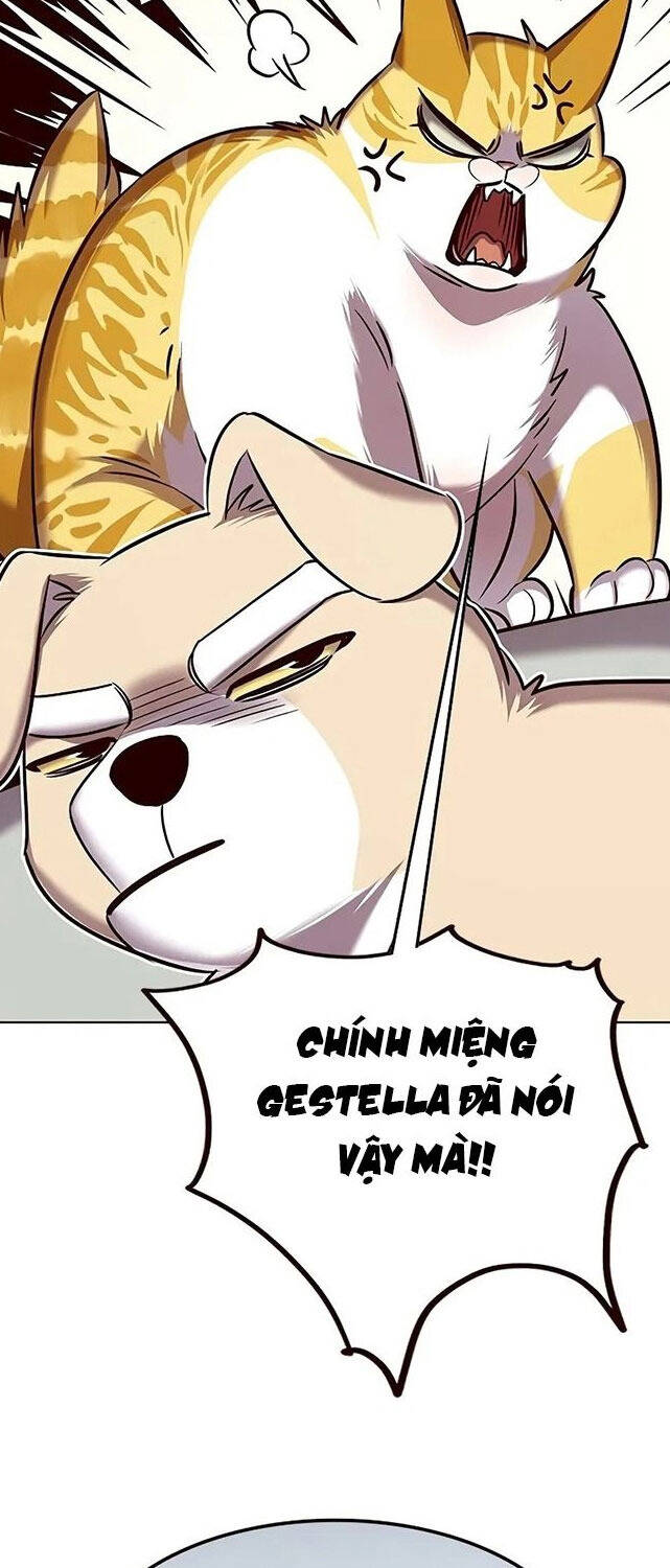 Hoá Thân Thành Mèo Chap 307 - Next Chap 308