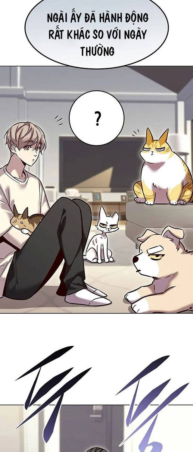 Hoá Thân Thành Mèo Chap 307 - Next Chap 308