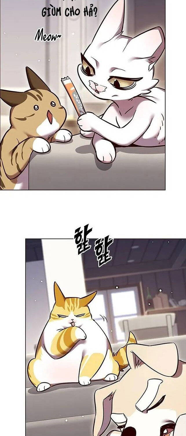 Hoá Thân Thành Mèo Chap 308 - Next Chap 309