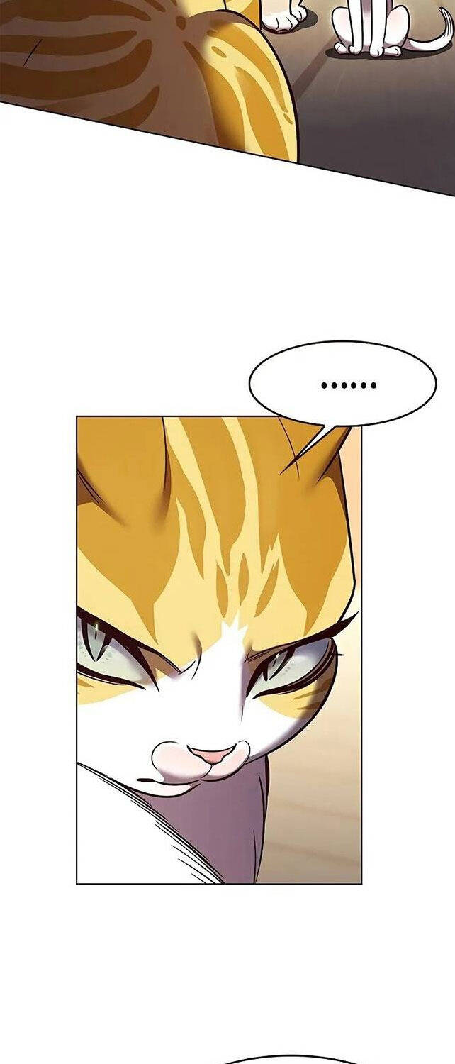 Hoá Thân Thành Mèo Chap 309 - Next Chap 310