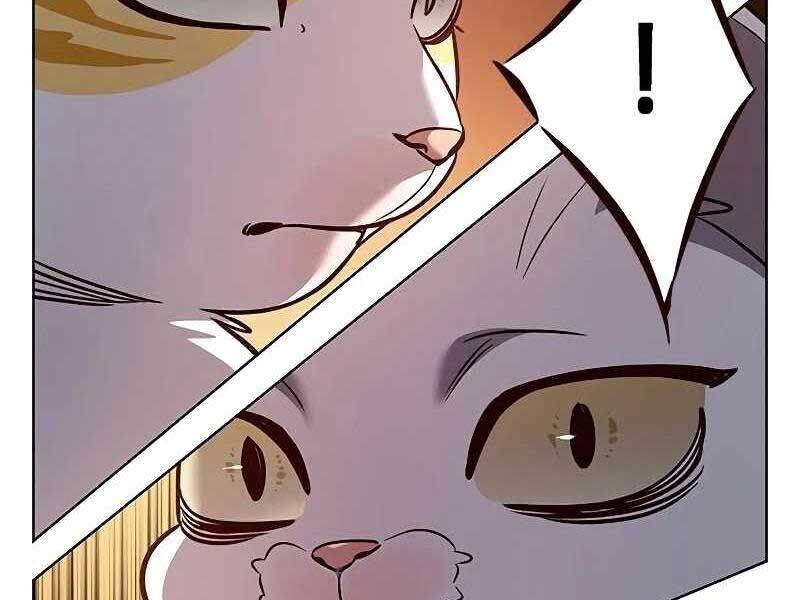 Hoá Thân Thành Mèo Chap 325 - Next Chap 326