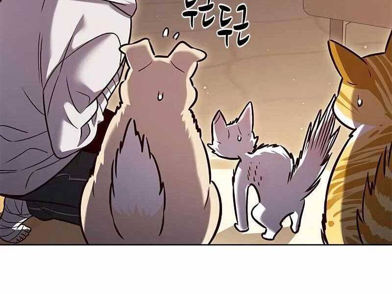 Hoá Thân Thành Mèo Chap 325 - Next Chap 326