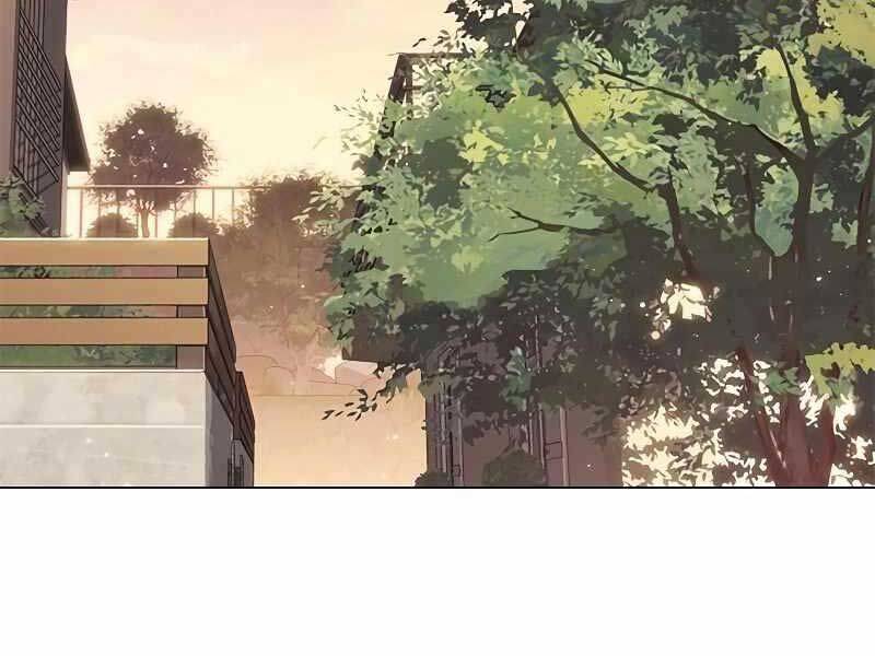 Hoá Thân Thành Mèo Chap 325 - Next Chap 326