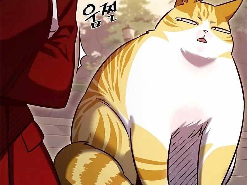 Hoá Thân Thành Mèo Chap 325 - Next Chap 326