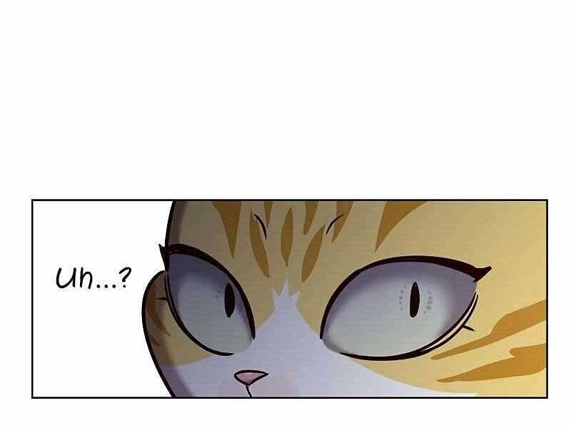 Hoá Thân Thành Mèo Chap 325 - Next Chap 326