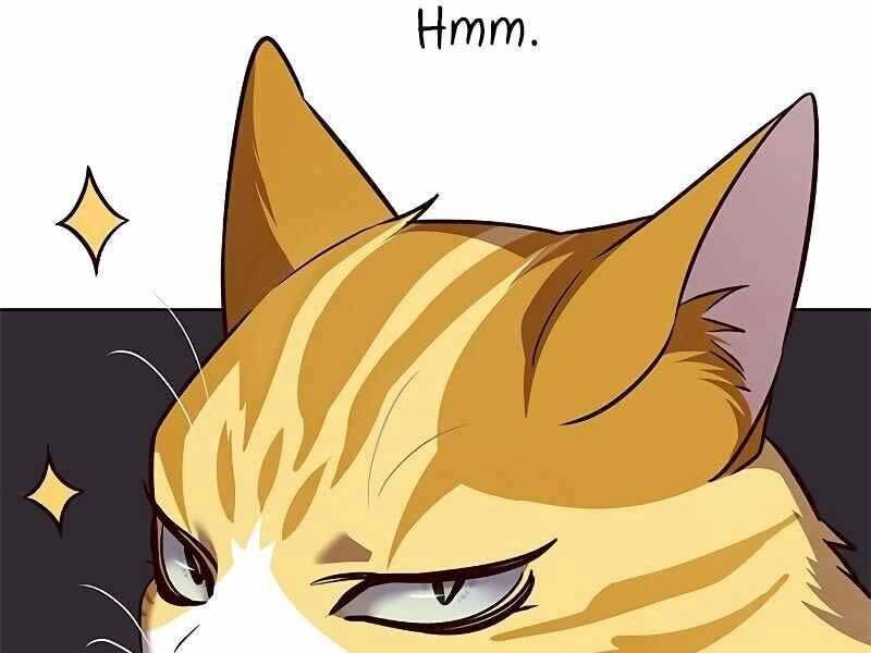 Hoá Thân Thành Mèo Chap 325 - Next Chap 326