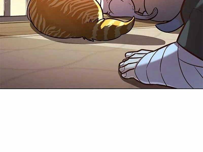 Hoá Thân Thành Mèo Chap 325 - Next Chap 326