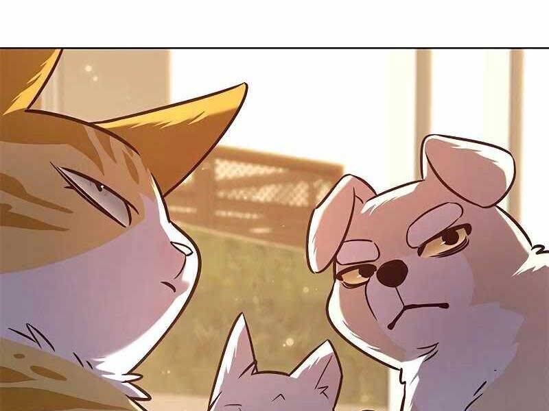 Hoá Thân Thành Mèo Chap 325 - Next Chap 326