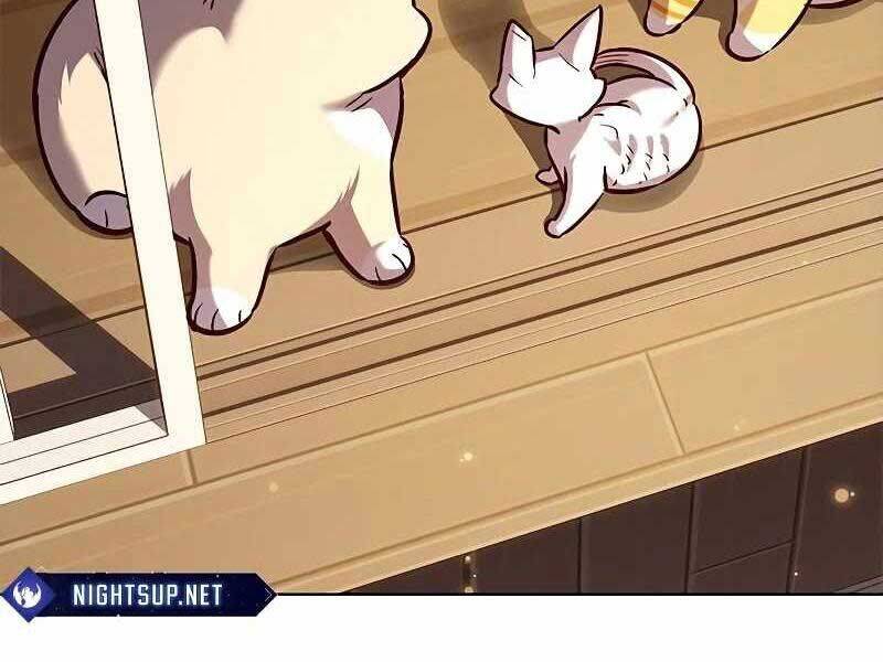 Hoá Thân Thành Mèo Chap 325 - Next Chap 326