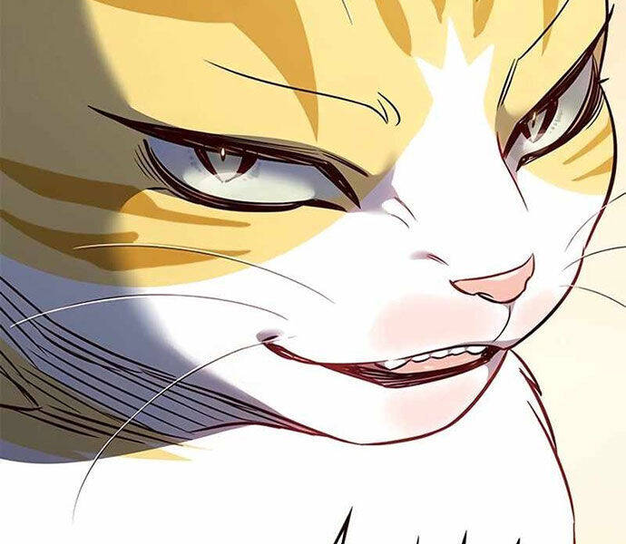 Hoá Thân Thành Mèo Chap 326 - Next Chap 327
