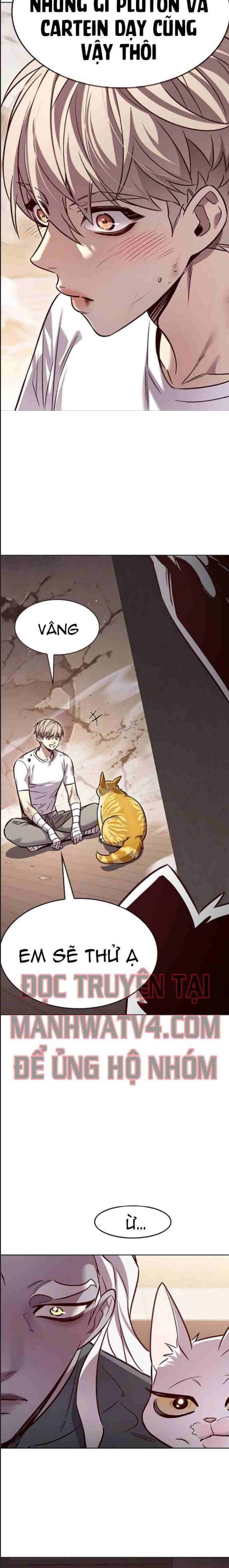 Hoá Thân Thành Mèo Chap 328 - Next Chap 329